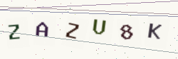 Security code image. Enter the characters shown below.