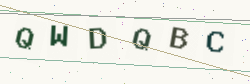 Security code image. Enter the characters shown below.
